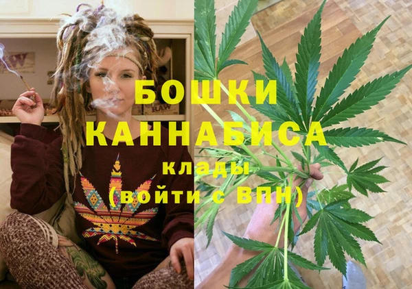 ешки Каменногорск
