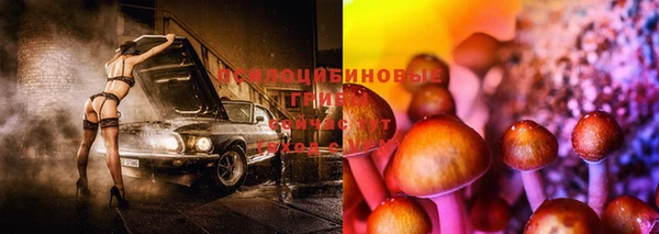 ешки Каменногорск