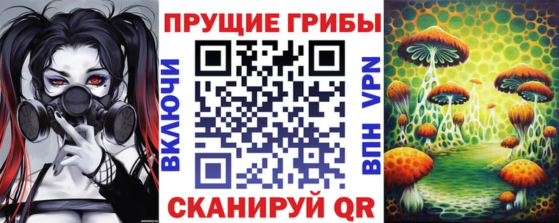 Галлюциногенные грибы Psilocybine cubensis наркошоп Нижняя Тура